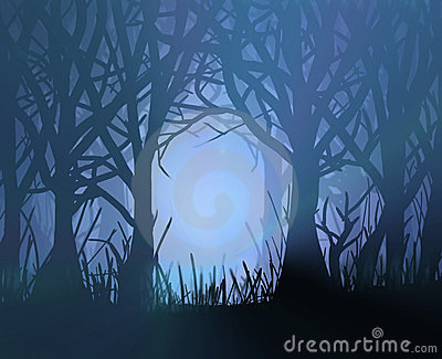 Spooky Dark Forest  Royalty Free Stock Photography   Image  23424557
