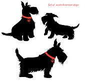 Stock Illustrations Of Dogs K7439240   Search Clipart Illustration