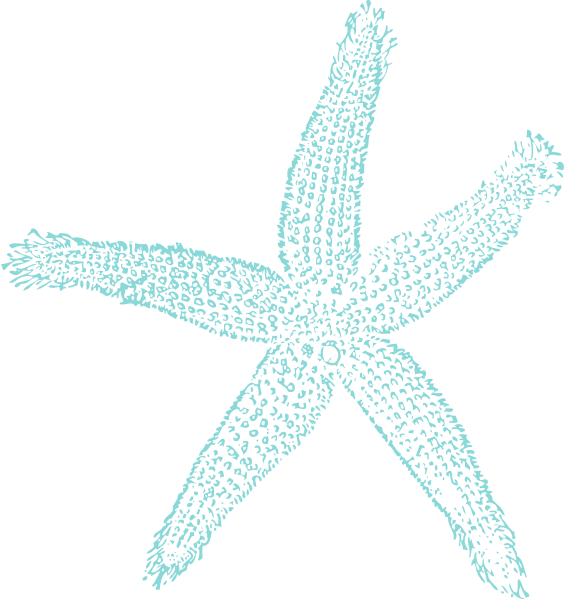 Maehr Starfish Wedding Clip Art At Clker Com   Vector Clip Art Online