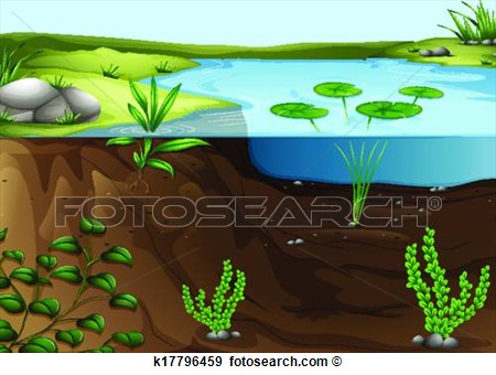 Clip Art   A Pond Ecosystem  Fotosearch   Search Clipart Illustration
