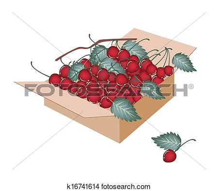 Clipart   Sweet Red Cherries In A Shipping Box  Fotosearch   Search