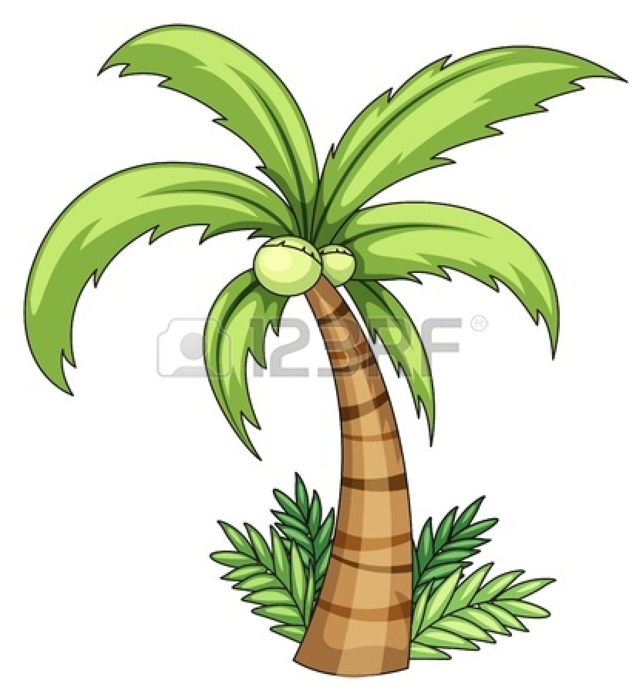Coconut Clip Art Palm Tree Coconut Clipart