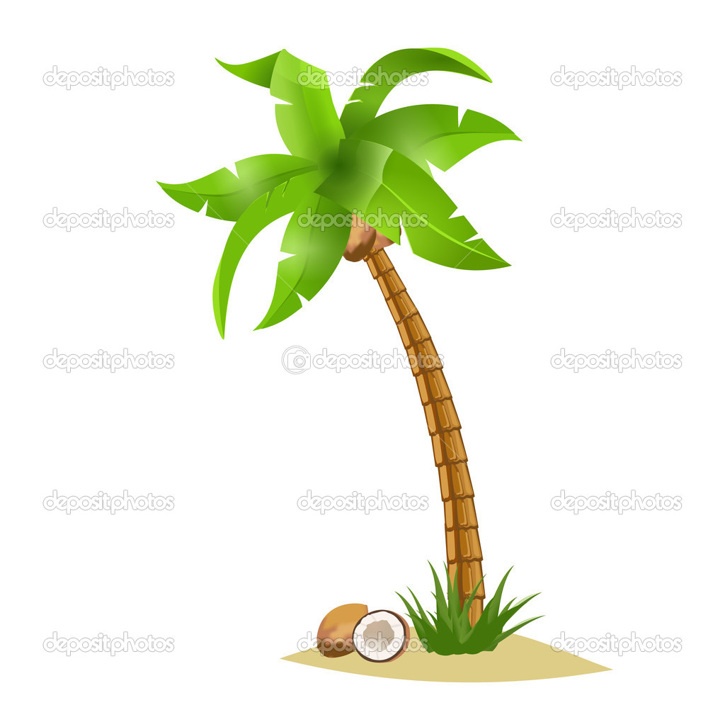 Palm Tree And Coconuts   Stock Vector   Oxygendesign021  11362811