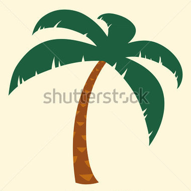     Palm Tree With Crown Of Green Fronds Symbolic Of A Tropical