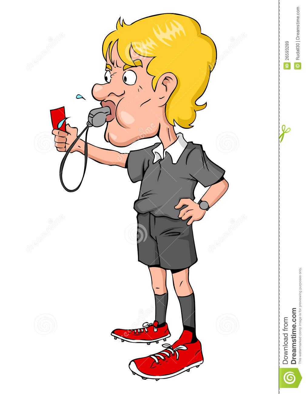 Referee Royalty Free Stock Images   Image  26593289
