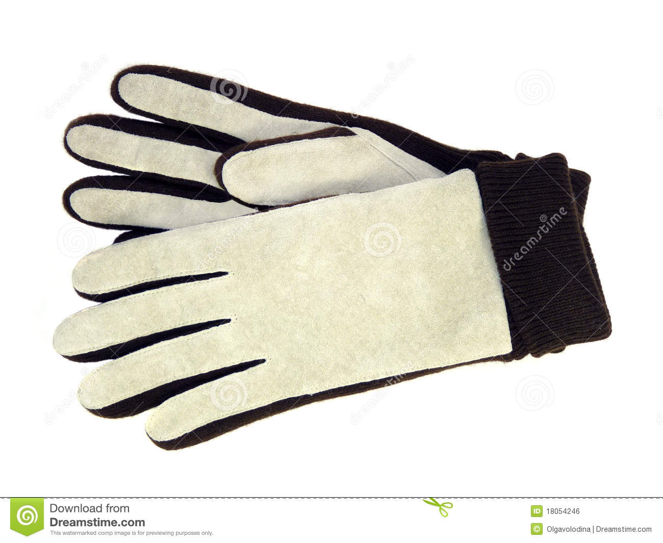 Stylish Women S Suede Gloves Isolated Royalty Free Stock Image   Image    