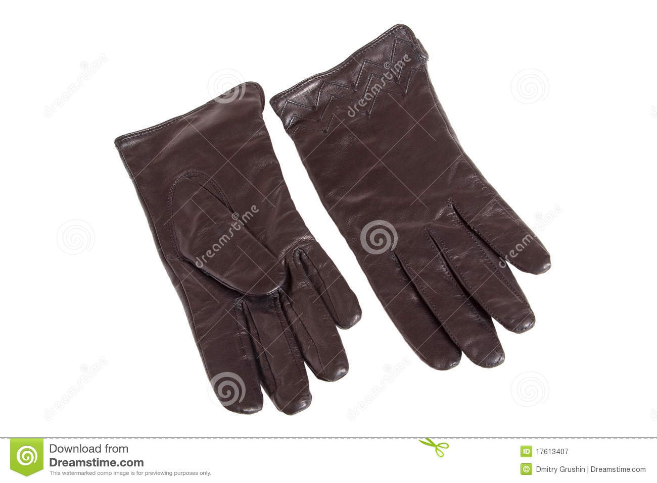 Women S Gloves Royalty Free Stock Photography   Image  17613407