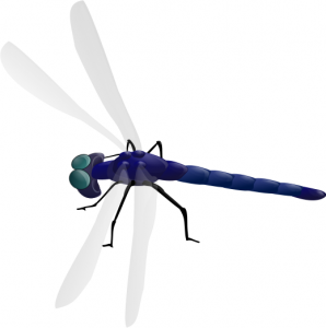 Blue Dragonfly Clipart