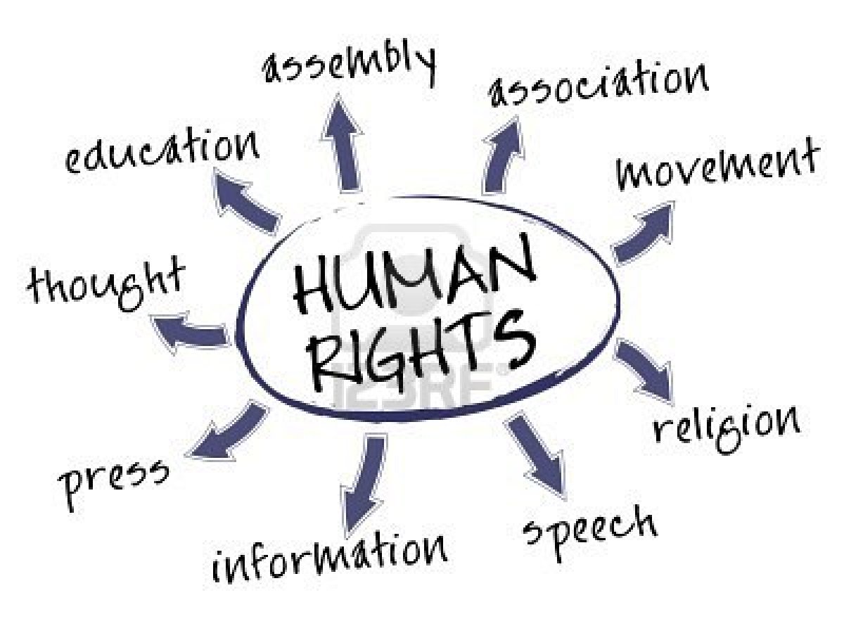 Dichiarazione Universale Dei Diritti Umani   Francesco S Post