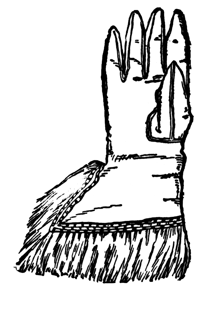 Glove Of Oliver Cromwell   Clipart Etc