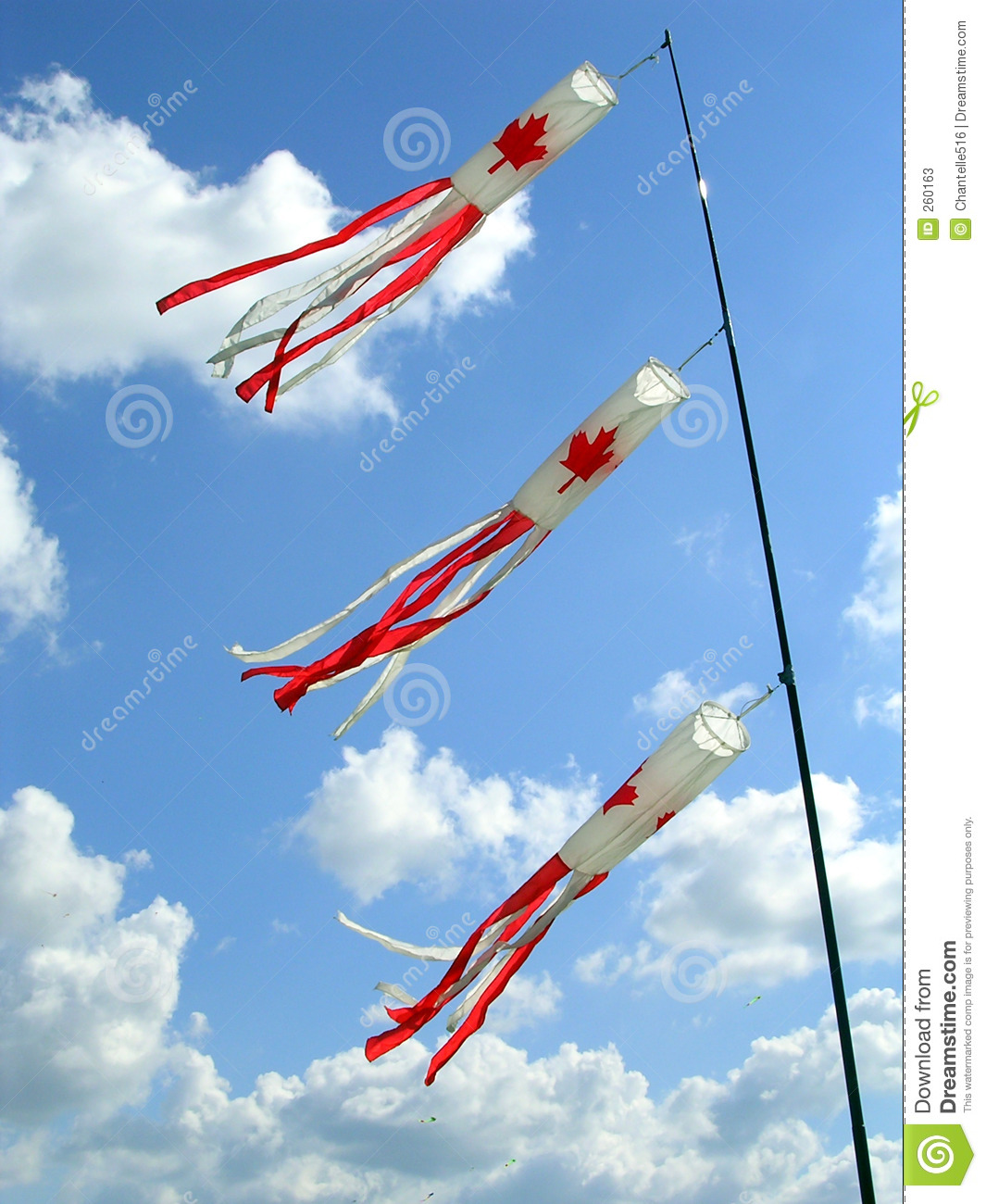 Kites With Canadian Flag Pattern Stock Photos   Image  260163