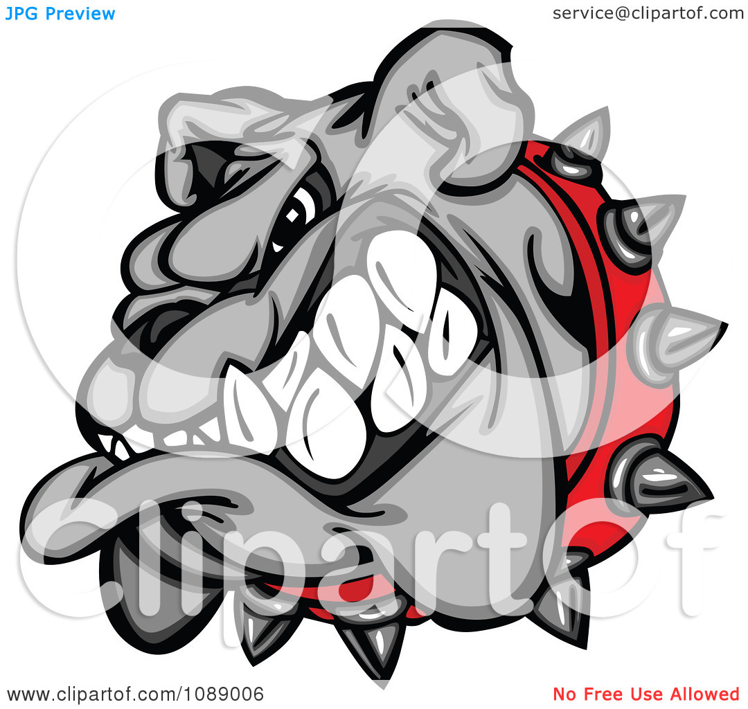 Clipart Aggressive Gray Bulldog Mascot Head   Royalty Free Vector