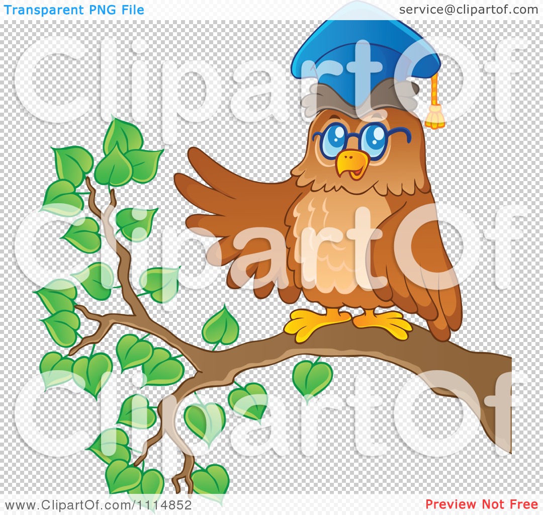 Clipart Wise Professor Owl Presenting On A Branch   Royalty Free