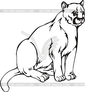 Cougar   Vector Image