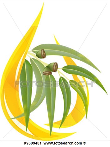 Eucalyptus Essential Oil Stylized Drop With Branch Clipart