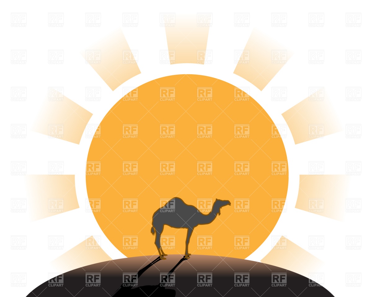 Silhouette Of A Camel In The Sun 679 Travel Download Royalty Free    
