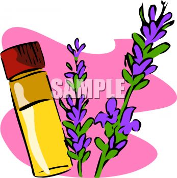 Vial Of Essential Oil Made With Lavender   Royalty Free Clip Art    