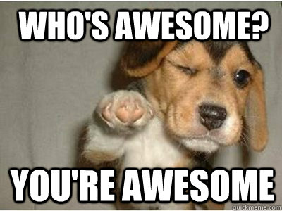Who S Awesome  You Re Awesome   Puppy Love   Quickmeme
