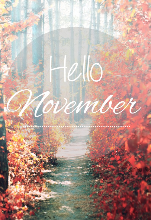 Hello November   Second Favorite Month      We Heart It
