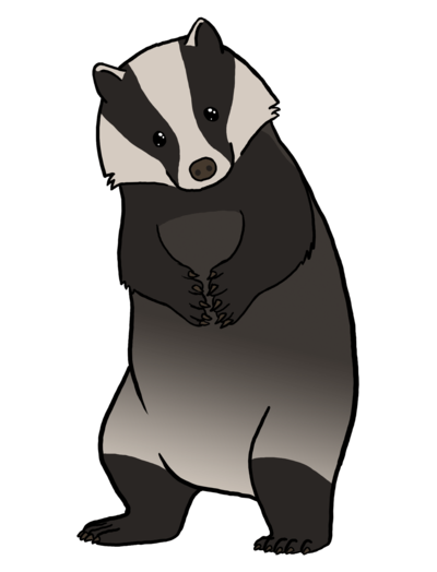Honey Badger Cartoon Drawing European Badger Does Care By