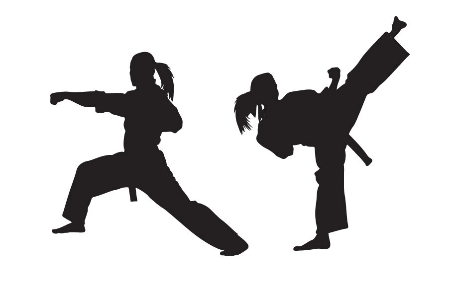 Karate Wall Decal Girl Version Sticker Kung Fu By Urbandecal