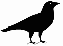 Crow   Http   Www Wpclipart Com Animals Birds C Crow Crow Png Html