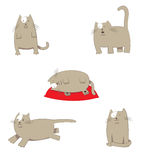 Funny Stylized Cartoon Grey Cat In Different Poses Stock Photography