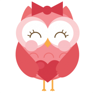 Girl Valentine S Owl