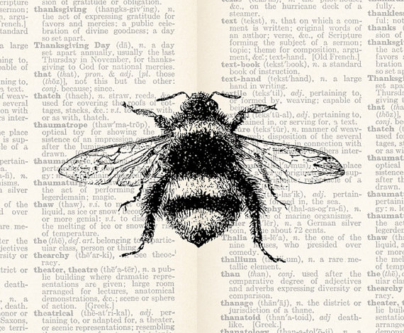 Illustration Bee Insect Bug Printable Art   Digital Vintage Clipart