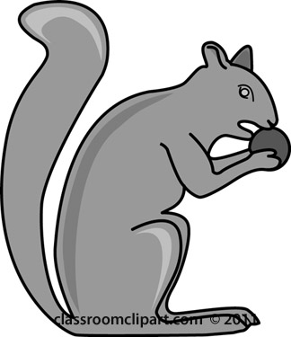 Animals Gray And White Clipart  Squirrels Eating Nut Gray   Classroom