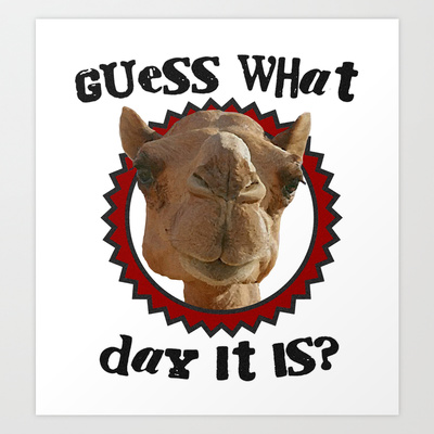 Camel Hump Day Clip Art