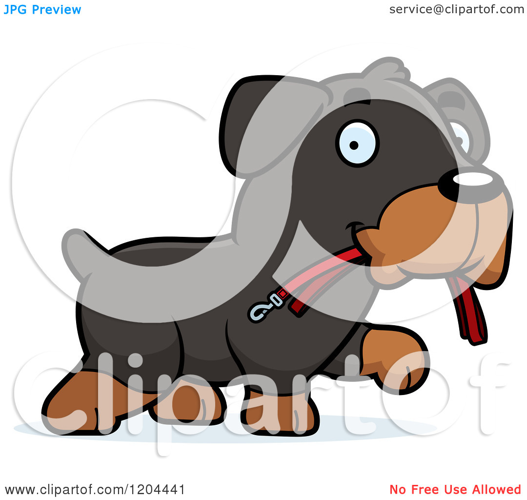 Cartoon Of A Cute Rottweiler Puppy Dog Carrying A Leash   Royalty Free