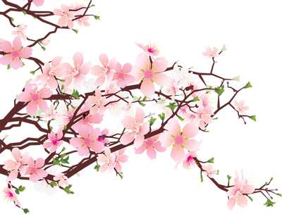 Cherry Blossom Border Clip Art Http   Brightenaday Com The Joys Of