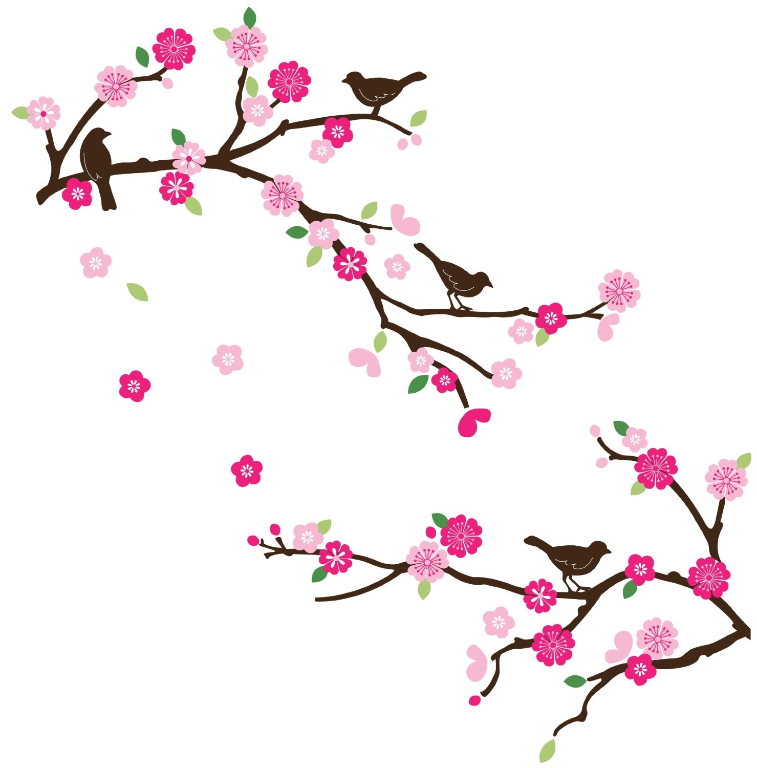 Cherry Blossom Design