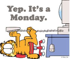 Garfield Mondays   Garfield Says I Hate Mondays    Facebook More
