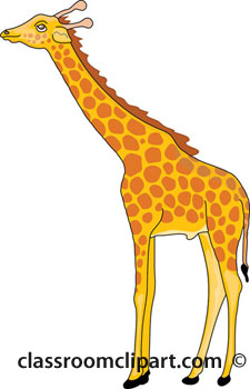 Giraffe Clipart   Eating Giraffe 3a   Classroom Clipart