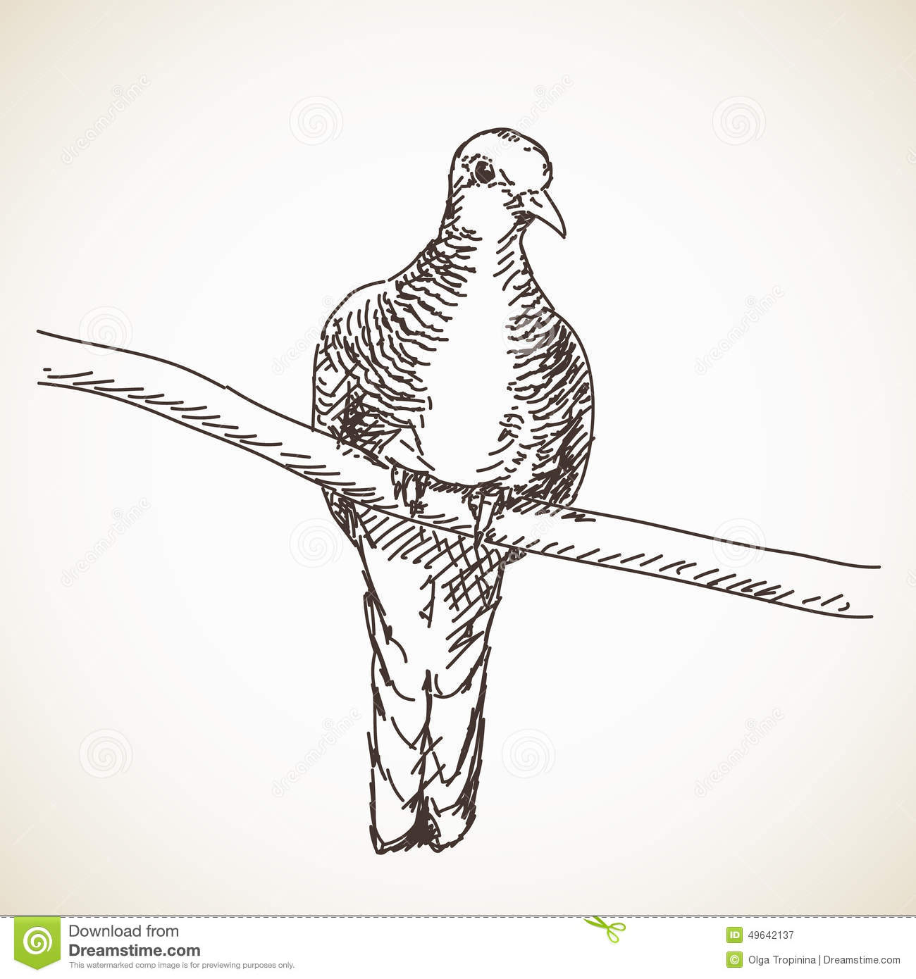 Hand Dove Dove Bird Hand Drawn Royalty
