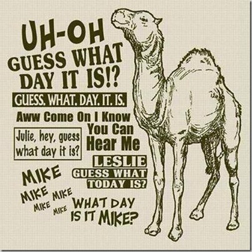 Hump Day Camel Geico Thumb2
