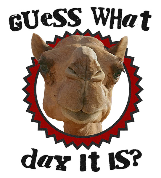 Hump Day Camel   Guess What Day It Is   Wednesday Is Hump Day   Parody