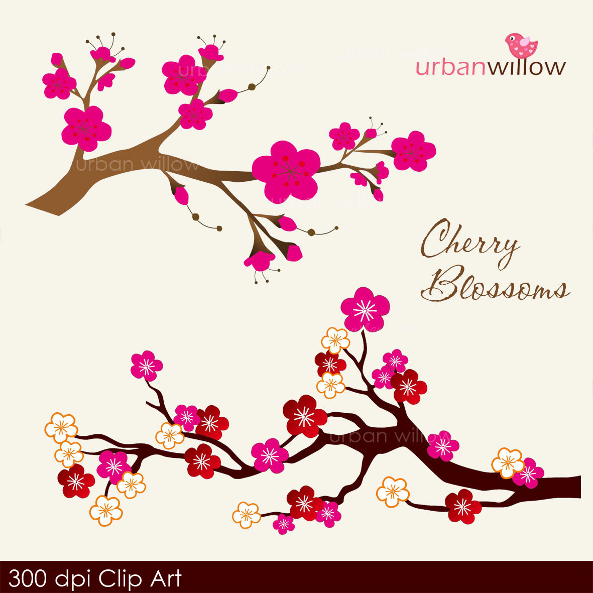 Instant Download Cherry Blossom Blush  Png   Jpeg By Urbanwillow