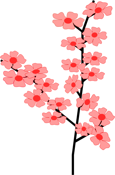 Of Cherry Blossoms Cherry Blossom Flower Clipart Cherry Blossom