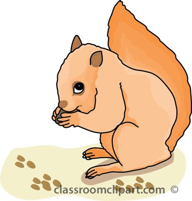 Squirrel Clipart   Squirrel Eating Nuts 31012   Classroom Clipart