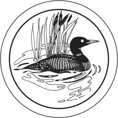 28 Loon Drawings Free Cliparts That You Can Download To You Computer    