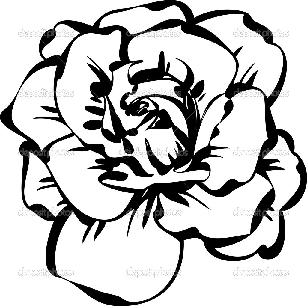 Black And White Sketch Of Rose   Stock Vector   Artex67  6936531