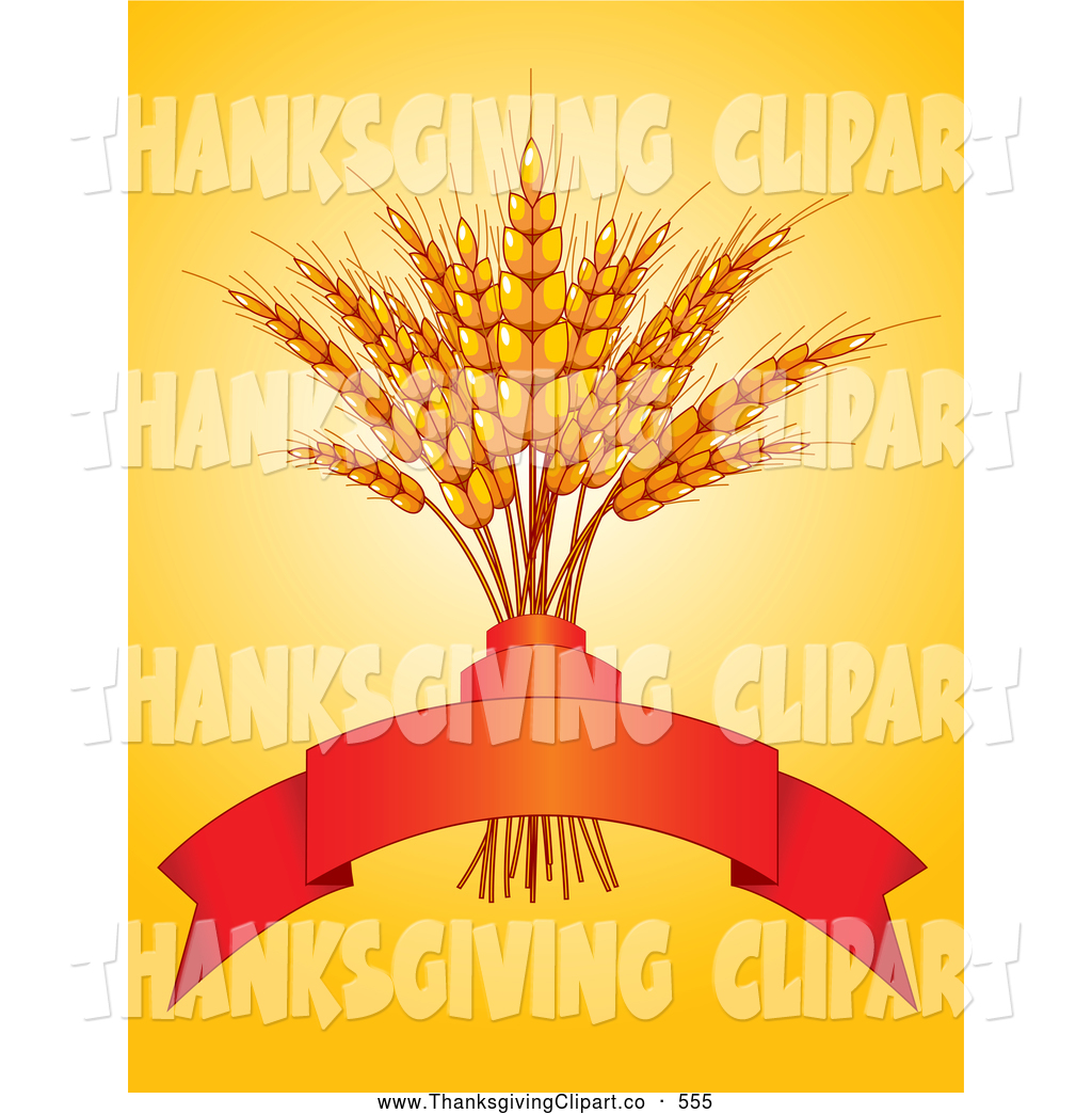     Bundle Of Wheat With A Red Banner On Harvest Orange By Pushkin    555