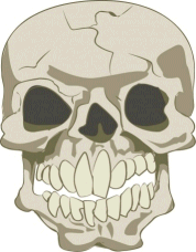 Clipart Halloween Jack O  Lantern  Pumpkin Clipart Halloween Skull    