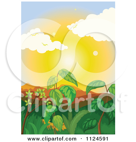 Clipart Of Jungle Or Forest Plant Foliage At Sunset Or Sunrise 1