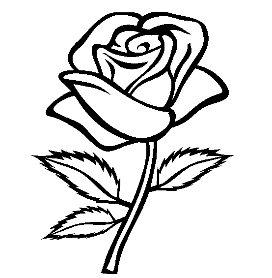 Coloring Blog For Kids  Rose Flower Coloring Page Pictures