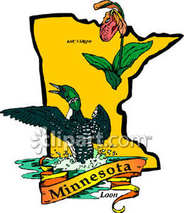     Flower Of Minnesota Over Minnesota Map   Royalty Free Clipart Picture