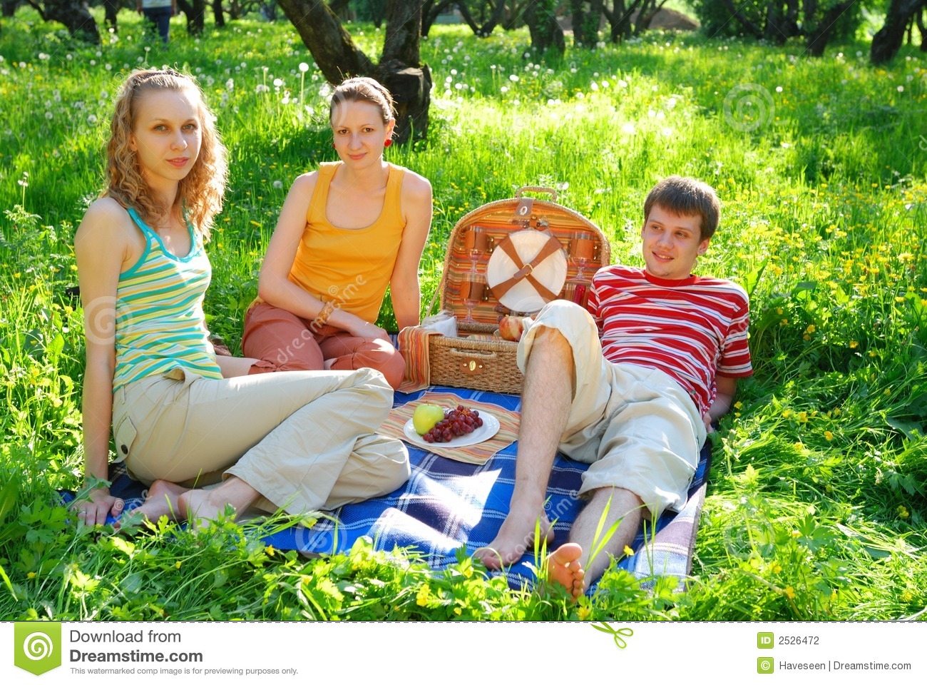 Friends On Picnic Stock Photography   Image  2526472